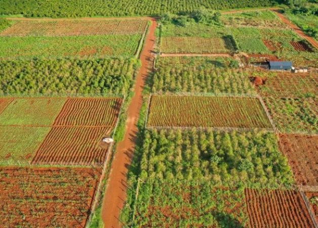 Parkview residencies