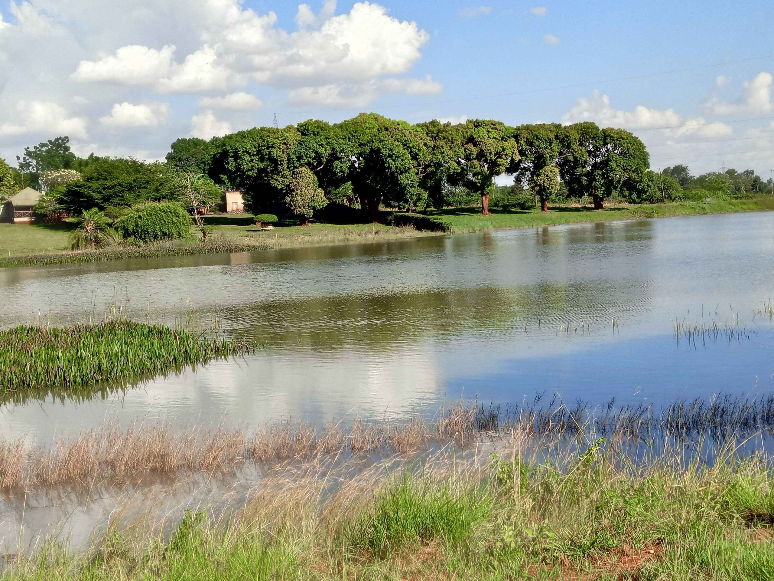 Zuri Springs Juja New Industrial – 1/2 and larger plots