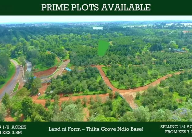 Thika Groove Chania ¼ acre