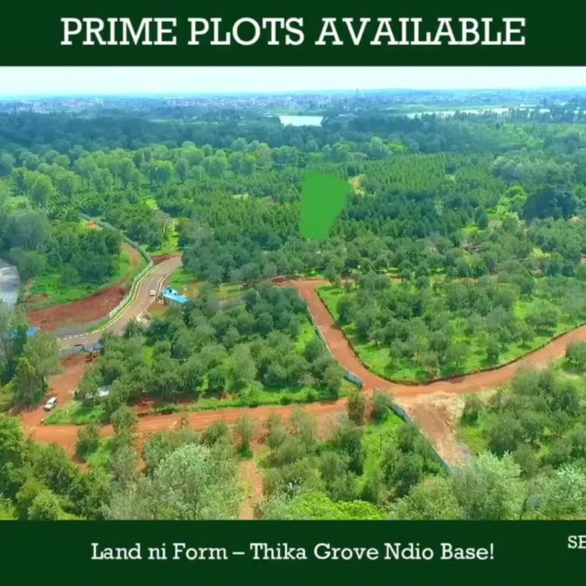 Thika Groove Chania ¼ acre