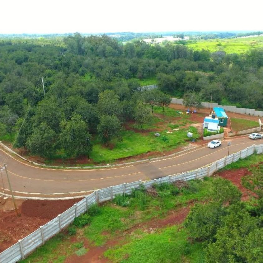 Thika Groove Chania ¼ acre