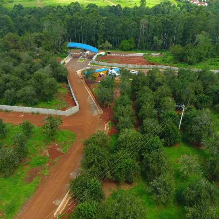 Thika Groove Chania ¼ acre