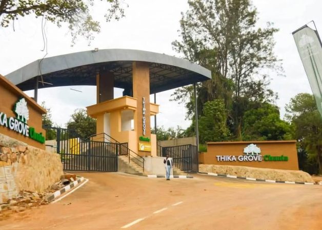 Thika Groove Chania ⅛ acre