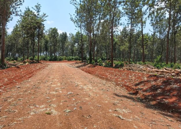 Ayanna Waters;1/8,1/4 acres