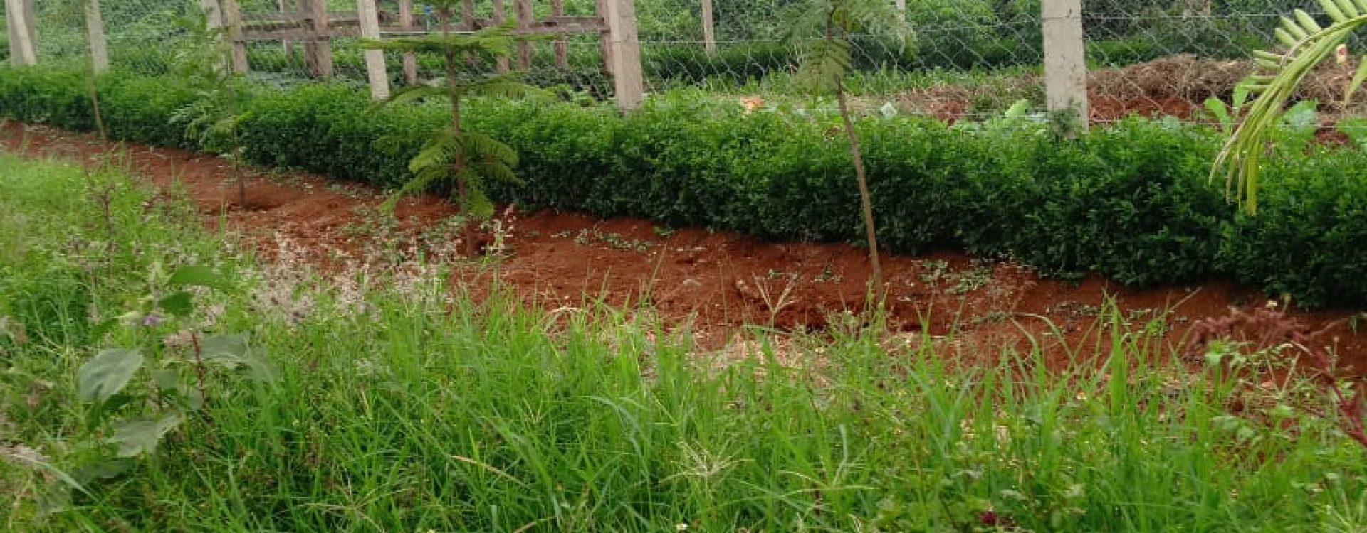 Taratibu Plots:1/8acres