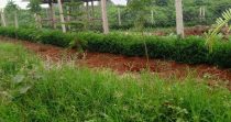 Taratibu Plots:1/8acres