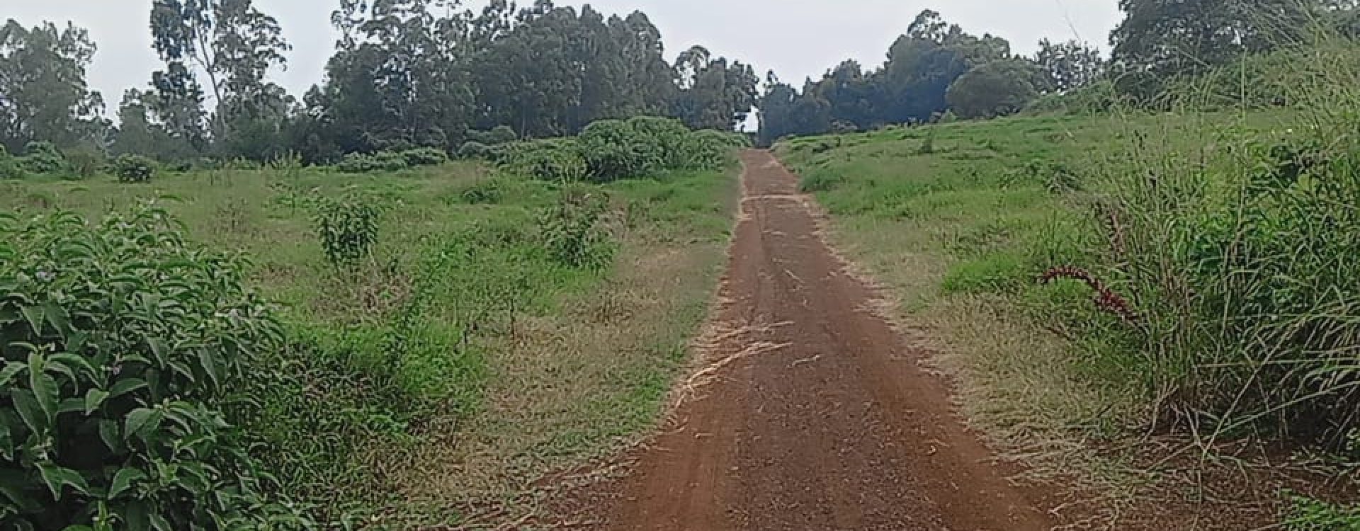 Taratibu Plots:1/8acres