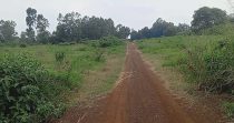 Taratibu Plots:1/8acres