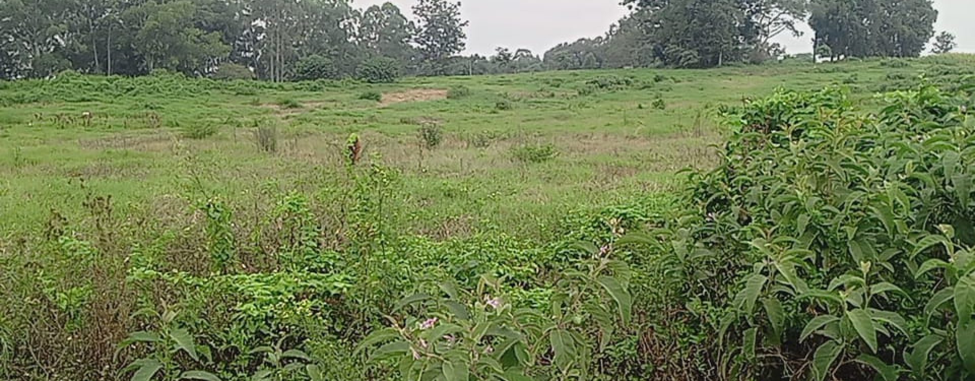 Taratibu Plots:1/8acres