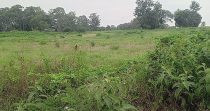 Taratibu Plots:1/8acres