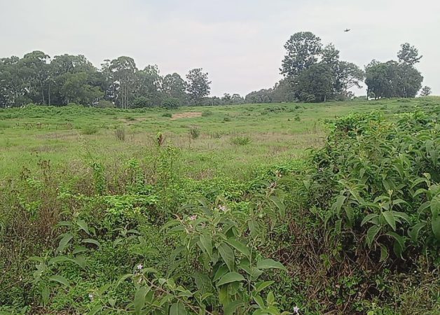 Taratibu Plots:1/8acres