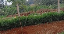 Taratibu Plots:1/8acres