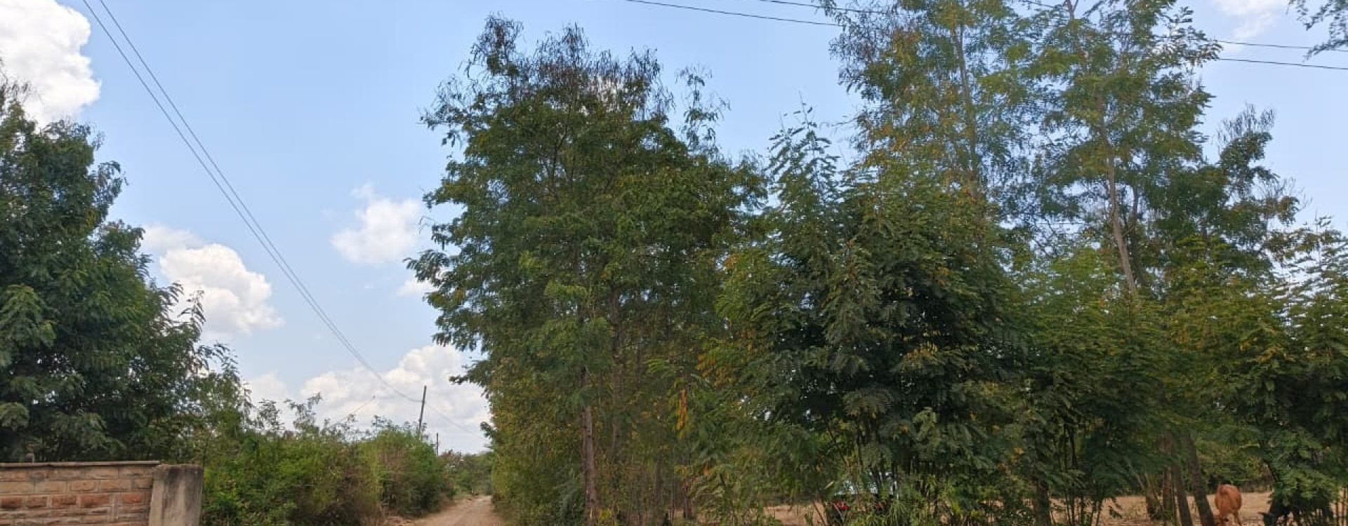 Prime 1/2 acre corner plot at Makutano Junction (Embu/Nyeri highway)