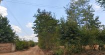 Prime 1/2 acre corner plot at Makutano Junction (Embu/Nyeri highway)